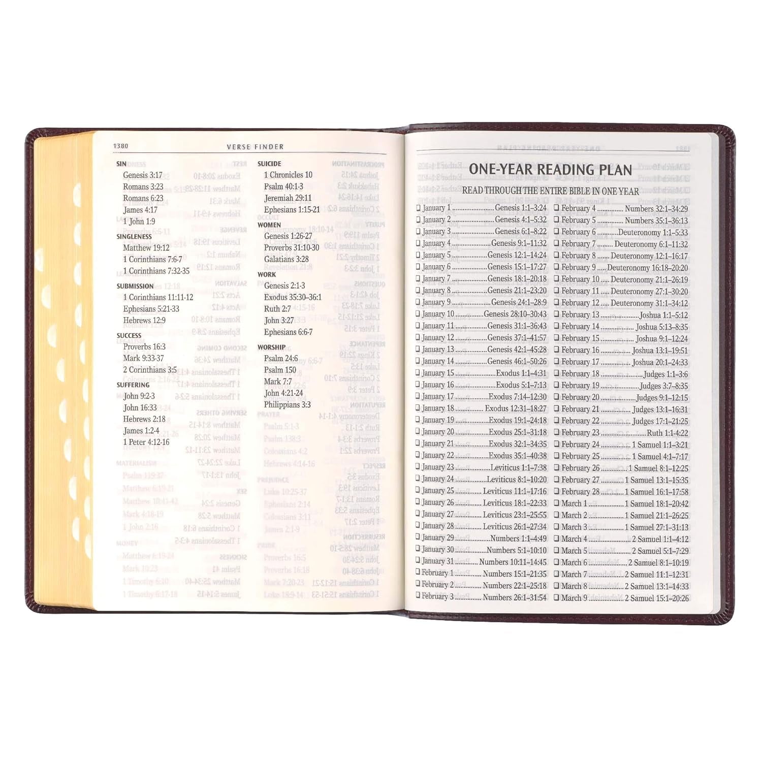 KJV Holy Bible, Full-Size Faux Leather Red Letter Edition - Thumb Index & Ribbon Marker, King James Version